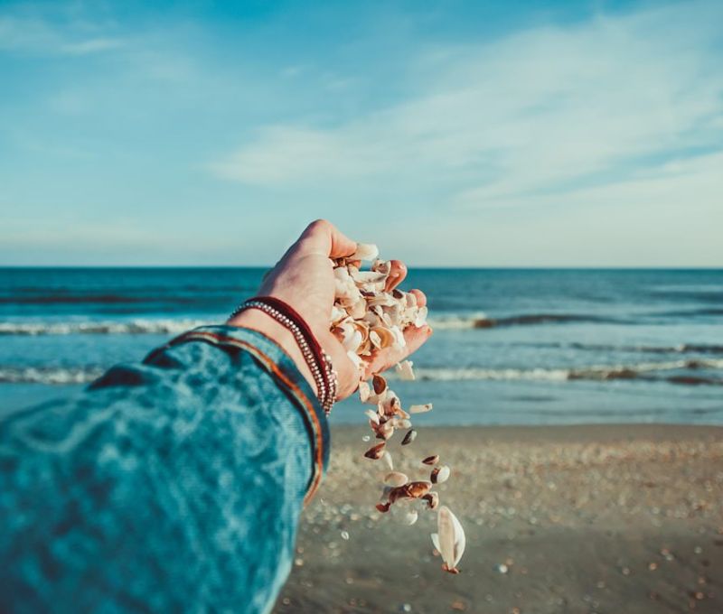 Hand reaching out to ocean holding shells